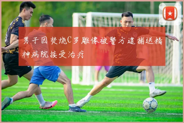 男子因焚烧C罗雕像被警方逮捕送精神病院接受治疗