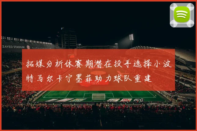 拓媒分析休赛期潜在投手选择小波特马尔卡宁墨菲助力球队重建