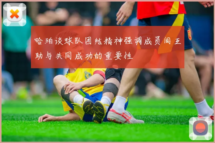 哈珀谈球队团结精神强调成员间互助与共同成功的重要性